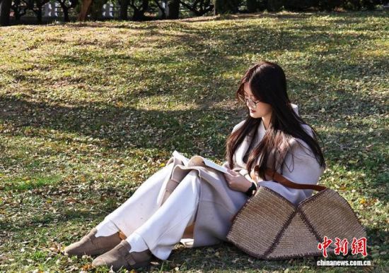 202511ɽ|_һyݾpڹ@xP z