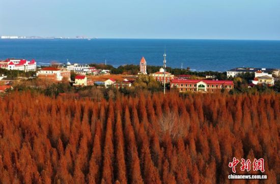 121ĿиպIɭֹ@һ̺һ(o˙C(j)Ƭ) z