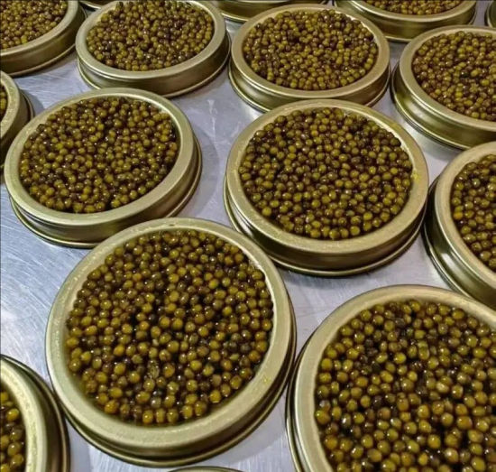  ����ɽ�|�H���R�Կh�~���u��