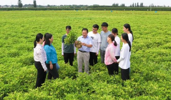 �����Ƽ���(chu��ng)�F(tu��n)�(du��)���g����