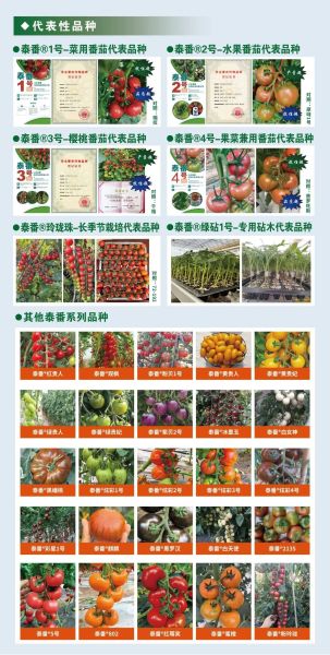 ��̩����ϵ�д���Ʒ�N