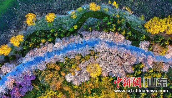 ����� �z 