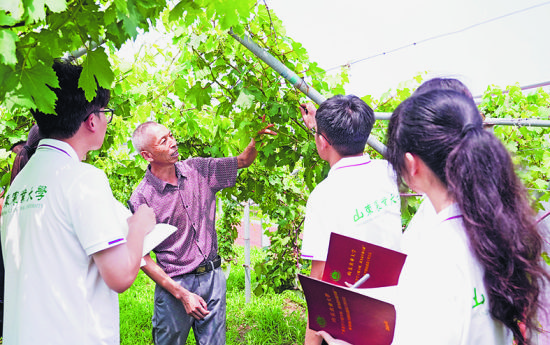 �����W(xu��)У�_չ���f���W(xu��)��(li��n)�f�� �Ҟ���l(xi��ng)��ؕ�I(xi��n)�����{(di��o)�л�����DƬ����ɽ�|�r(n��ng)�I(y��)��W(xu��)�ṩ